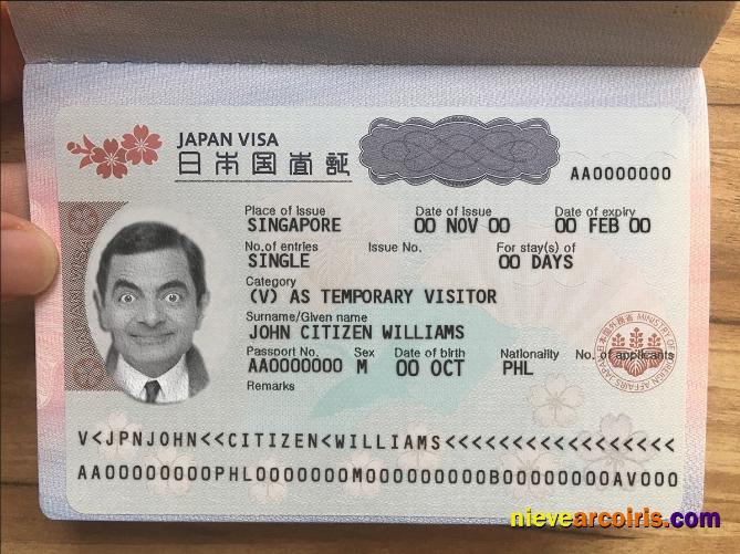 Japan tourist visa, photo look